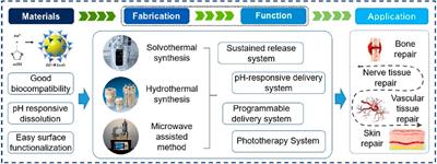 Zeolitic imidazolate framework-8: a versatile nanoplatform for tissue regeneration